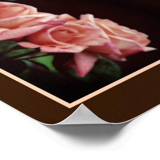 Perzik Roos Trio gespiegeld Floral Poster (Hoek)