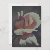 Perzik Roosknop Bloemen Uitnodiging (Achterkant)