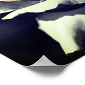 Perzik Rosebud zwart-wit gedeeltelijke kleur spieg Poster (Hoek)