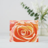 Perzik roze blush roos briefkaart (Staand voorkant)