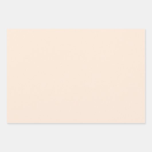 Perzik Roze Gouden Zebra Print Inpakpapier Vel (Voorkant 2)