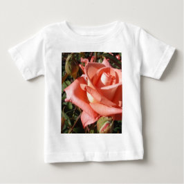 Perzik Roze Roos