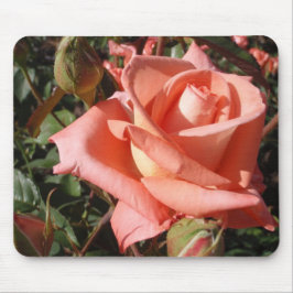 Perzik Roze Roos Muismat