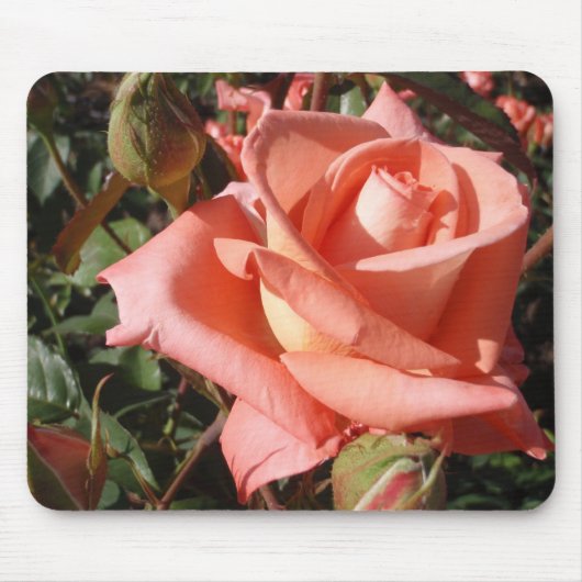 Perzik Roze Roos Muismat (Voorkant)