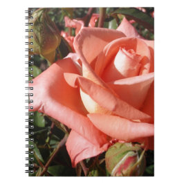 Perzik Roze Roos Notitieboek