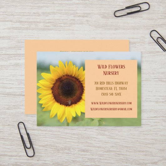 Perzik Tuinman Landschapsarchitect Bloemist Zonneb Visitekaartje (Voorkant / Achterkant in situ)