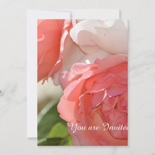 Perzik Witte Roos Bloem 50ste Verjaardag Kaart (Voorkant)