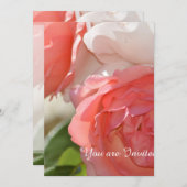 Perzik Witte Roos Bloemige 50e Verjaardag Kaart (Voorkant / Achterkant)