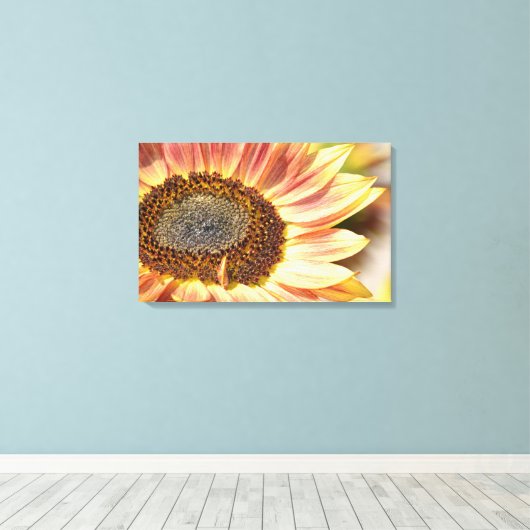 Perzik Zonnebloem Canvas Afdruk (Insitu (Houten vloer))