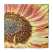 Perzik Zonnebloem Tegeltje (Voorkant)