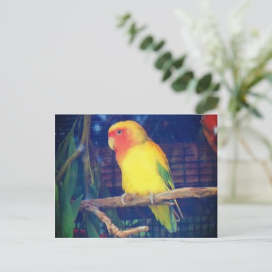 Perzikant Lovebird #1 Briefkaart (Staand voorkant)