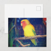 Perzikant Lovebird #1 Briefkaart (Voorkant / Achterkant)