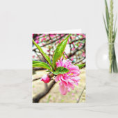 Perzikbloem ingevuld Hartelijk dank Bedankkaart (Voorkant)