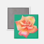 Perzikbloem Magneet (Voorkant / Achterkant)
