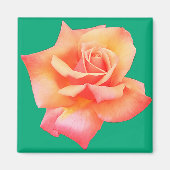 Perzikbloem Magneet (Voorkant)