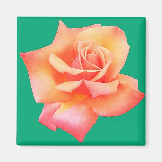Perzikbloem Magneet (Voorkant)