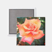 Perzikbloem Magneet (Voorkant / Achterkant)