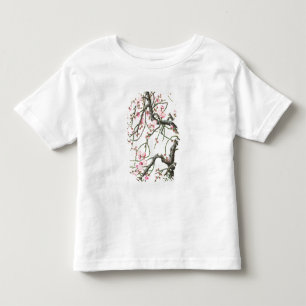 Perzikbloesem (kleur op papier) kinder shirts