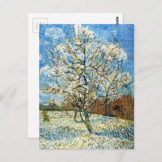Perzikbomen in Blossom Vincent Van Gogh Briefkaart (Voorkant / Achterkant)
