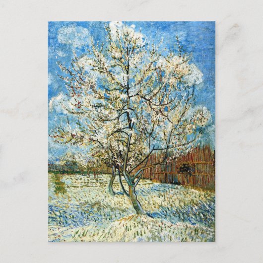 Perzikbomen in Blossom Vincent Van Gogh Briefkaart (Voorkant)