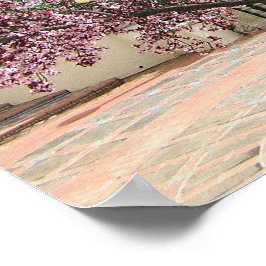 Perzikboom in bloem - Hearst Castle 2005 Poster (Hoek)