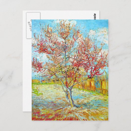 Perzikboom in Bloom in Arles, Van Gogh Briefkaart (Voorkant / Achterkant)