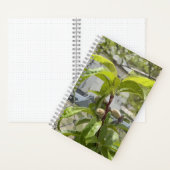 Perzikboom kogel journaal notitieboek (Binnen)