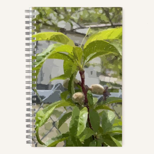 Perzikboom kogel journaal notitieboek (Voorkant)