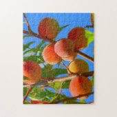 Perzikboom Legpuzzel (Verticaal)
