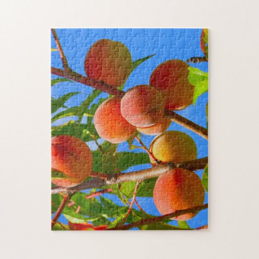 Perzikboom Legpuzzel (Verticaal)