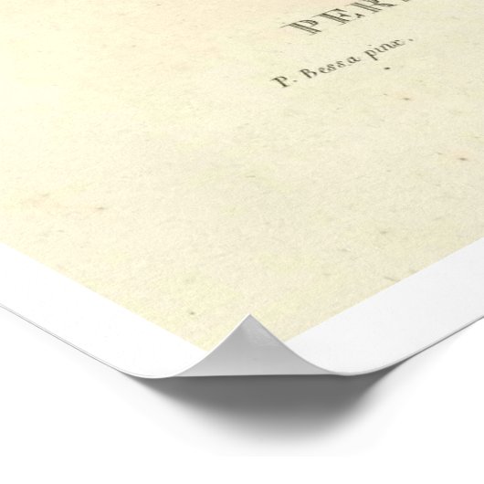  perzikboom (Prunus persica) N.1-Poster Poster (Hoek)