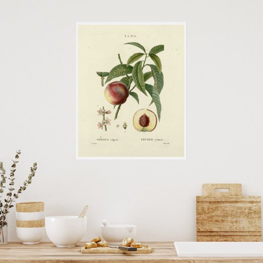  perzikboom (Prunus persica) N.6 Poster (Keuken)