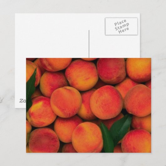 perziken briefkaart (Voorkant / Achterkant)