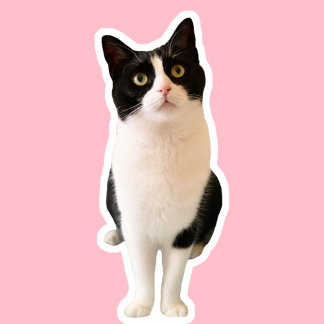 Perziken de Tuxedo Cat Custom Sticker
