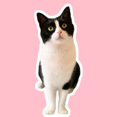 Perziken de Tuxedo Cat Custom Sticker