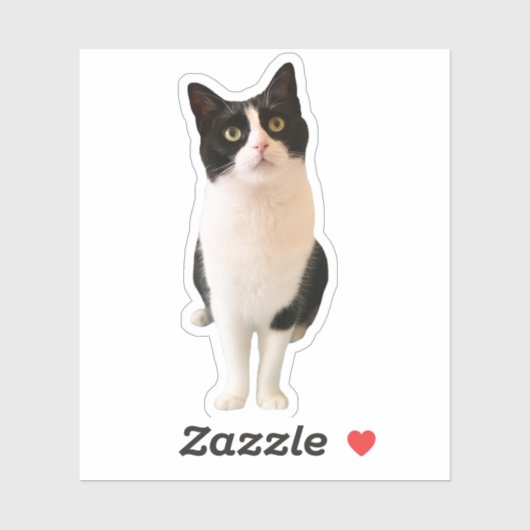 Perziken de Tuxedo Cat Custom Sticker (Vel)