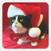 Perziken de Tuxedo Cat Kerst stickers (Voorkant)