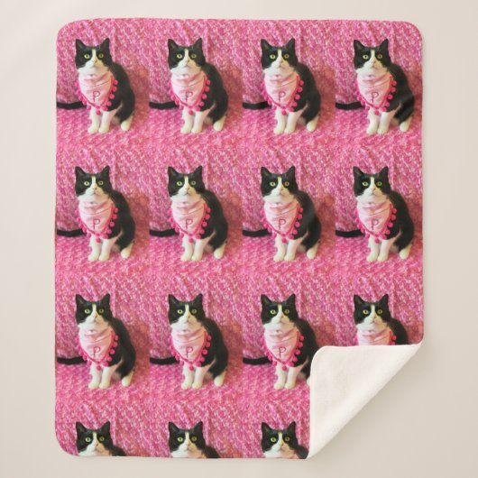 Perziken de Tuxedo Cat Medium Sherpa Deken (Voorkant)