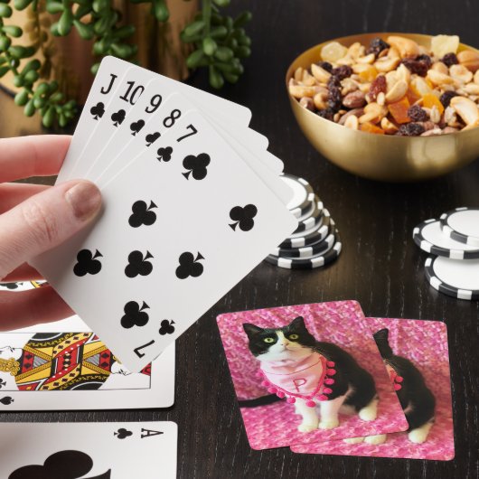 Perziken de Tuxedo Kat Roze Bandana Speelkaarten (Insitu)