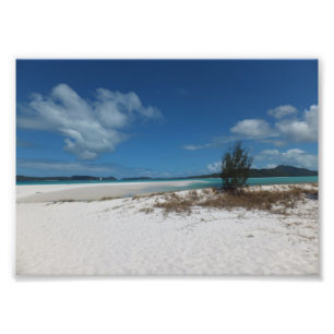 Perziken en blauwe luiken foto afdruk