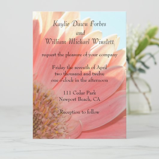 Perziken en Cream Gerbera Flower Kaart (Staand voorkant)