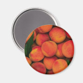 perziken magneet (Voorkant / Achterkant)