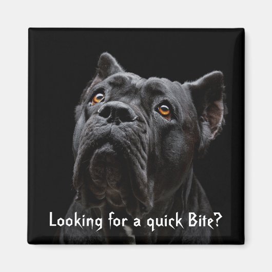 Perziken magneet (Voorkant)