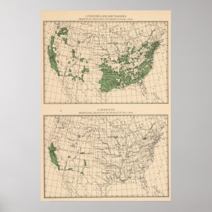 Perziken, nectarines, abrikozen poster