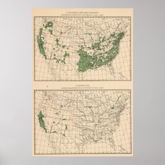 Perziken, nectarines, abrikozen poster (Voorkant)