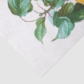 Perziken op een filiaal tissuepapier (Detail)