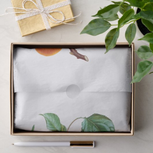 Perziken op een filiaal tissuepapier (Geschenk)