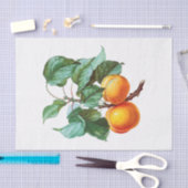 Perziken op een filiaal tissuepapier (Craft)