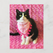 Perziken op het Briefkaart Tuxedo Cat Pink (Voorkant)
