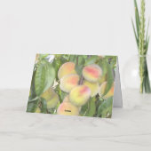 Perziken op het Tree Wenskaart Kaart (Achterkant)